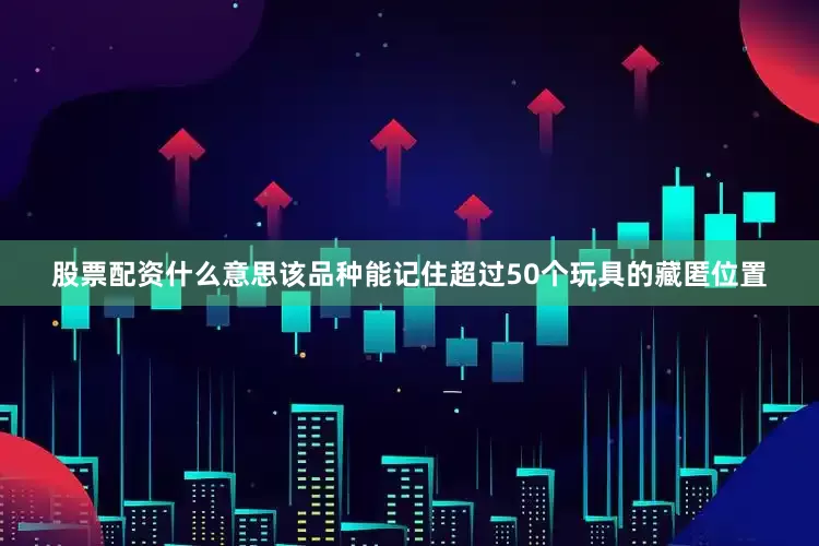 股票配资什么意思该品种能记住超过50个玩具的藏匿位置