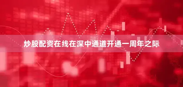 炒股配资在线在深中通道开通一周年之际