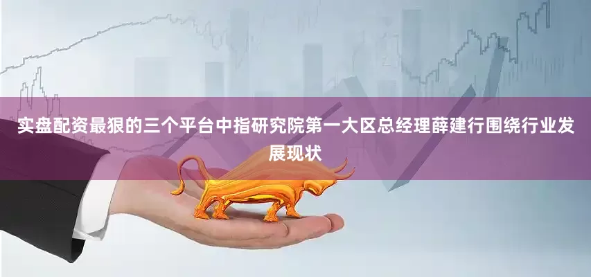 实盘配资最狠的三个平台中指研究院第一大区总经理薛建行围绕行业发展现状